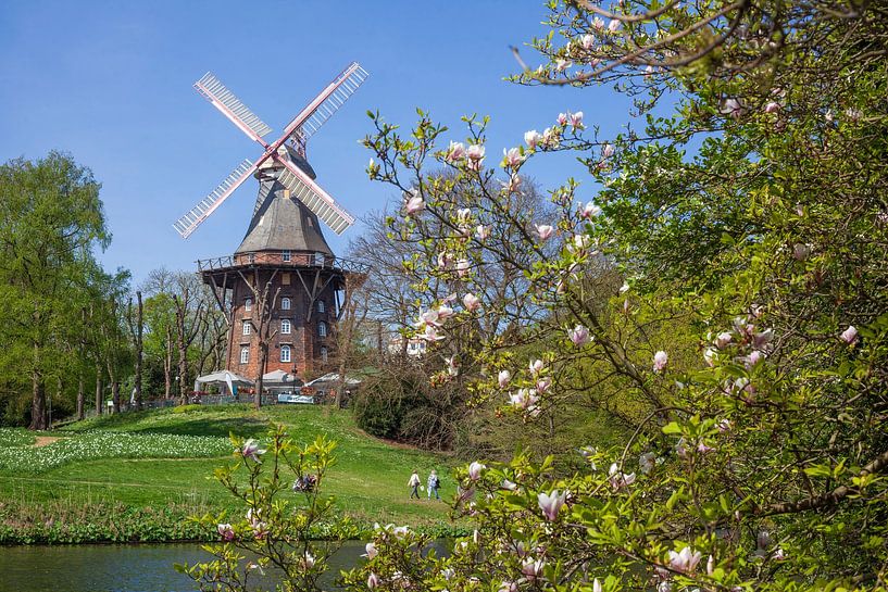 Herdentorswallmühle in den Wallanlagen von Torsten Krüger