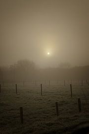 Fog over the meadows by guido ijzerman