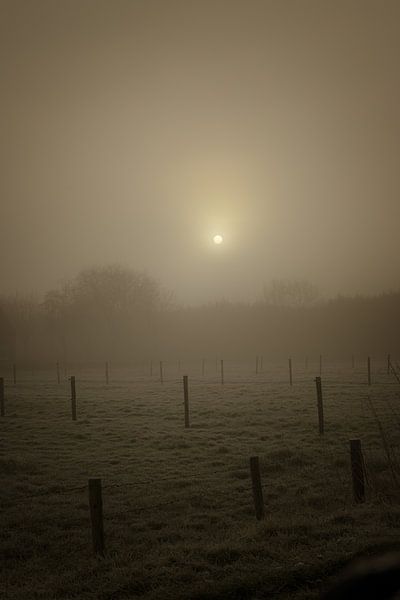 Fog over the meadows by guido ijzerman