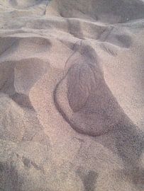 De veer in het zand von Tessel Robbertsen