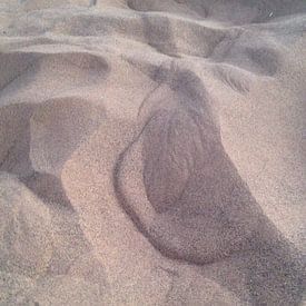 De veer in het zand van Tessel Robbertsen