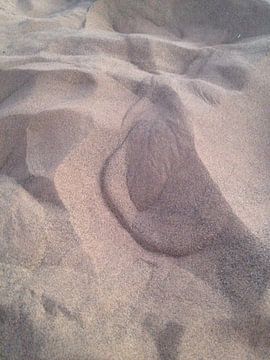 De veer in het zand van Tessel Robbertsen