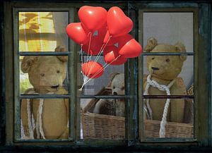 Fensterblick - alte Teddies
