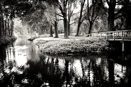 Black and white Park