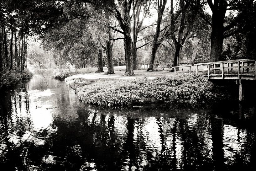 Schwarzer und weißer Park von Robert Kersbergen