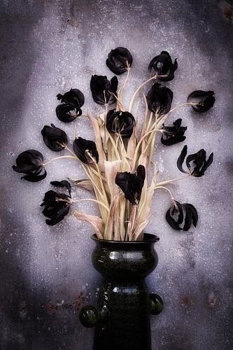schwarze Vase mit Tulpen
