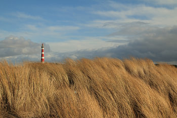 Vuurtoren Ameland