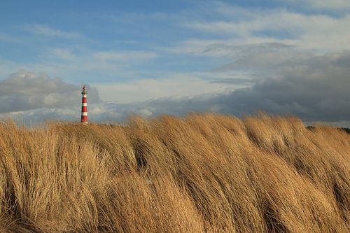 Vuurtoren Ameland