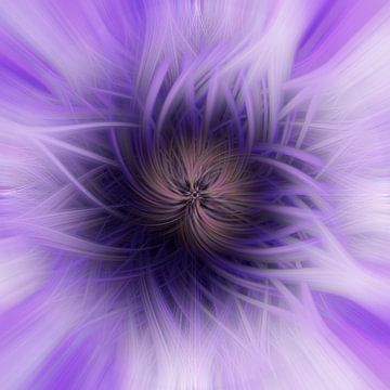 Fleur de lumière. Feu d'artifice géométrique abstrait. Étoile violette. sur Dina Dankers