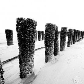 palen op het strand by Berend-Jan Bel