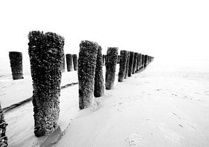 palen op het strand von Berend-Jan Bel