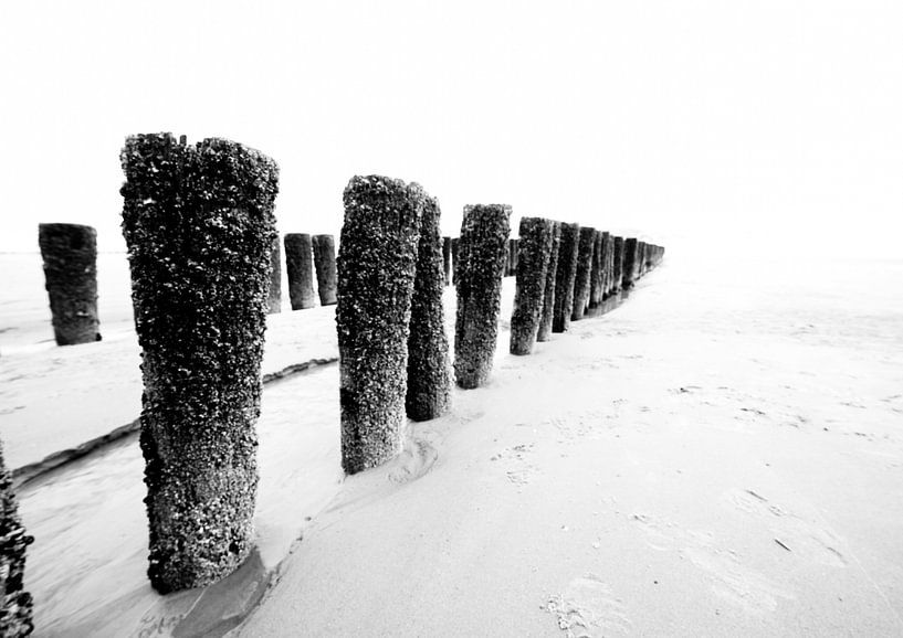 palen op het strand van Berend-Jan Bel