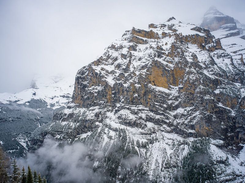 Moine noir au Lauterbrunnental dans l'Oberland bernois par t.ART