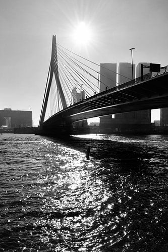 der Schwan aus Stahl