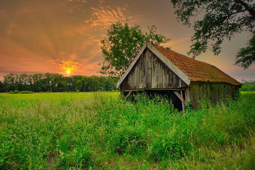 Barn 1 by peterheinspictures