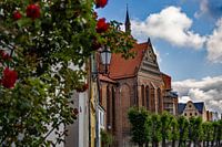 June view of St. Nikolai