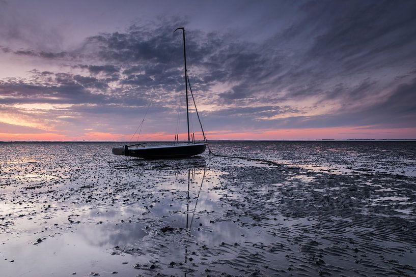 Laatste avondlicht par Marianne van der Westen