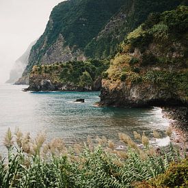 Felsenküste von Madeira von Dian Schuurkamp