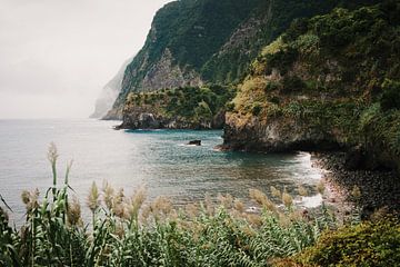 Felsenküste von Madeira von Dian Schuurkamp