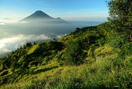 Dieng-Vulkankomplex in Zentral-Java in Indonesien von Merijn van der Vliet Miniaturansicht