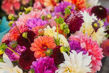 Fleurs de Dahlia de différentes couleurs dans un grand bouquet sur Margriet Hulsker