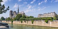 Kathedrale Notre-Dame | Panorama von Melanie Viola Miniaturansicht