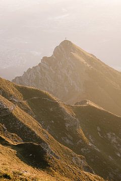 Groene bergtop in het warme ochtendlicht van Sophia Eerden