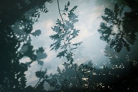 Rustgevende natuur van Juul Vullings