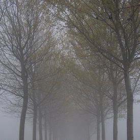 Eindeloos in de mist. sur Bas Smit