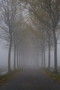 Eindeloos in de mist. von Bas Smit