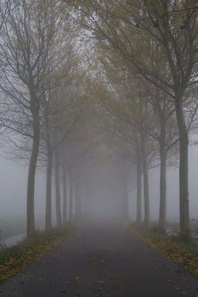 Eindeloos in de mist. par Bas Smit