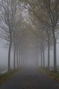 Eindeloos in de mist. van Bas Smit thumbnail