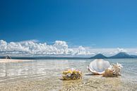 Tropisch strand op Pigeon eiland Papoea Nieuw Guinea van Ron van der Stappen thumbnail