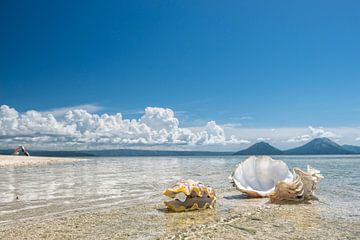 Tropisch strand op Pigeon eiland Papoea Nieuw Guinea