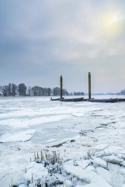 Frozen von Jan Koppelaar