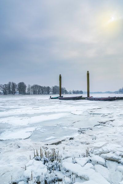 Frozen van Jan Koppelaar