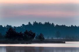 Mistie by Pieter limbeek