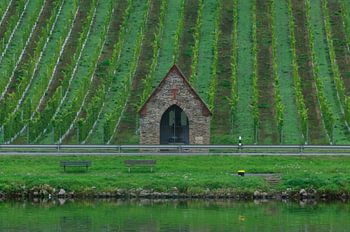 wjnranken mit Hütte