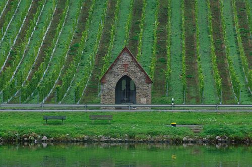 wjnranken with cottage