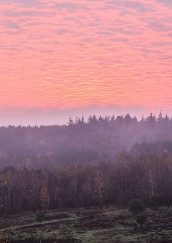 prachtige lucht boven Kwintelooijen