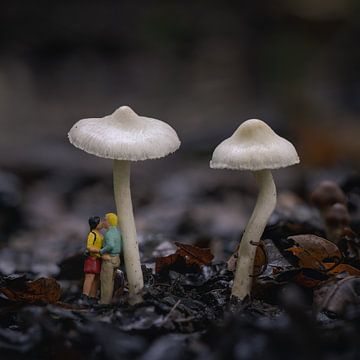 Miniatures sous un champignon sur Jolanda Aalbers