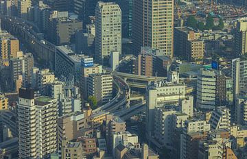 Tokio Stadsgezicht (Japan)