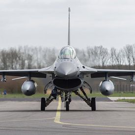 F-16 Fighting Falcon von Frank Van der Werff