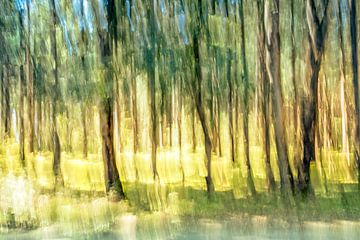 Abstracte boswandeling van Frans Nijland