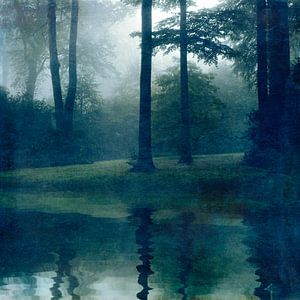 Inaccessible - Forêt de brouillard automnale en miroir