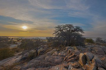 Uitzicht over de zoutvlakte bij Kubu eiland Botswana IV