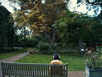 Botanical Garden in the Netherlands