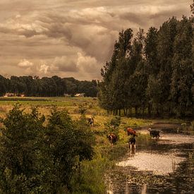 Niederländische Landschaft  von Marcel Post