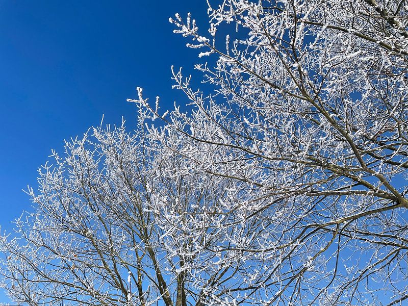 Winter's Tale by Air7view