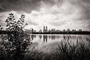 New York - Central Park van Alexander Voss
